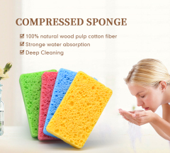 Compressed dishwashing sponge