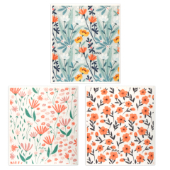 3-pack（2）
