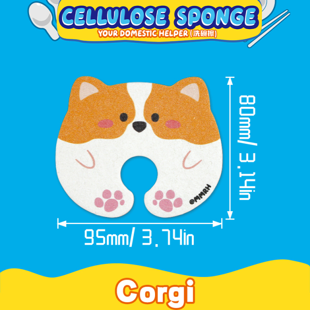 Compressed dishwashing sponge