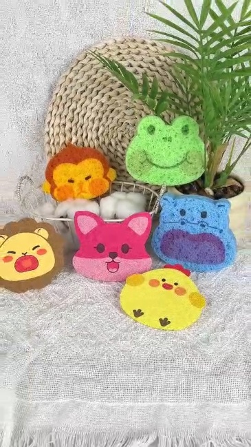 Compressed dishwashing sponge