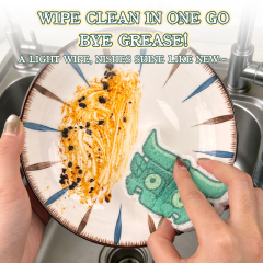 Compressed dishwashing sponge