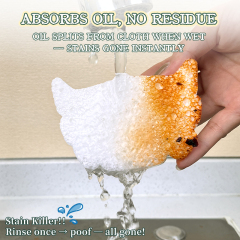 Compressed dishwashing sponge