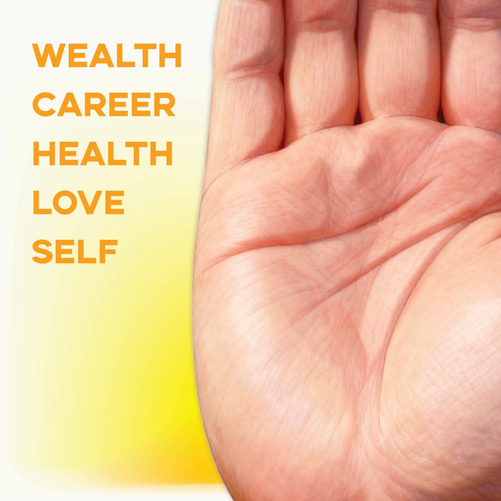 Hand Reading · Palm Insight