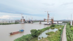 Tower Cranes,Zoomlion L315-20 Luffing Jib Tower Crane - Heavy Duty Construction Equipment for High-Rise Buildings