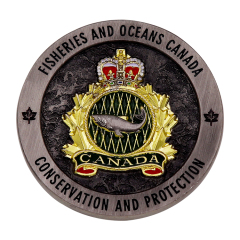 Custom 3D Antique Challenge Coins | Silver Plated Engraved Coins