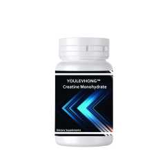 Private Label Customized Pre Workout Supplement Creatine Monohydrate Powder Energy BCAA Creatine Powder Reatine Monohydrate Supplements