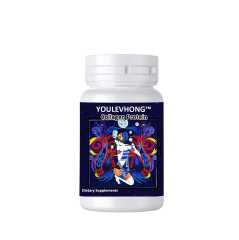 Collagen Protein Bovine Collagen Peptide Supplement For Muscle Recovery Heralthy Skin ,Hair,Joints Digestion NSF Certification Customized Advance