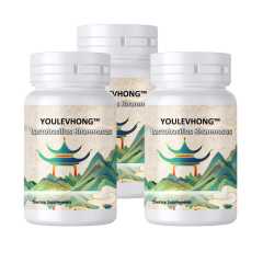 Lactobacillus Rhamnosus Probiotic Supplement For Healthy Digestion 60 Capsules Strengthens Digestive Immune Health Vegetarian/Vegan Customized