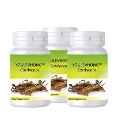 Cordyceps Supplements Mushroom Extract Premium Helps To Balance And Optimize Immunity
