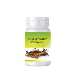 Cordyceps Supplements Healthy Immune Support Promote Normal Vascular Function YOULEVHONG Healthy Immune Capsules Herbal Natural Health