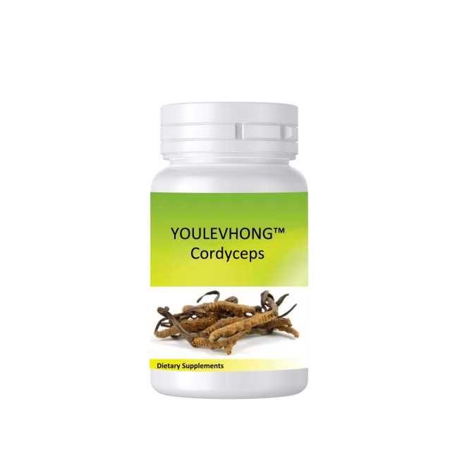 Cordyceps Supplements Healthy Immune Support Promote Normal Vascular Function YOULEVHONG Healthy Immune Capsules Herbal Natural Health