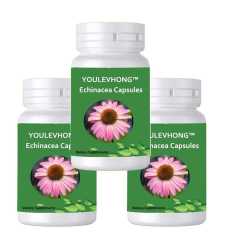 Echinacea Supplements Herbal Health Natural Immune Health Non-GMO No Gluten No Yeast