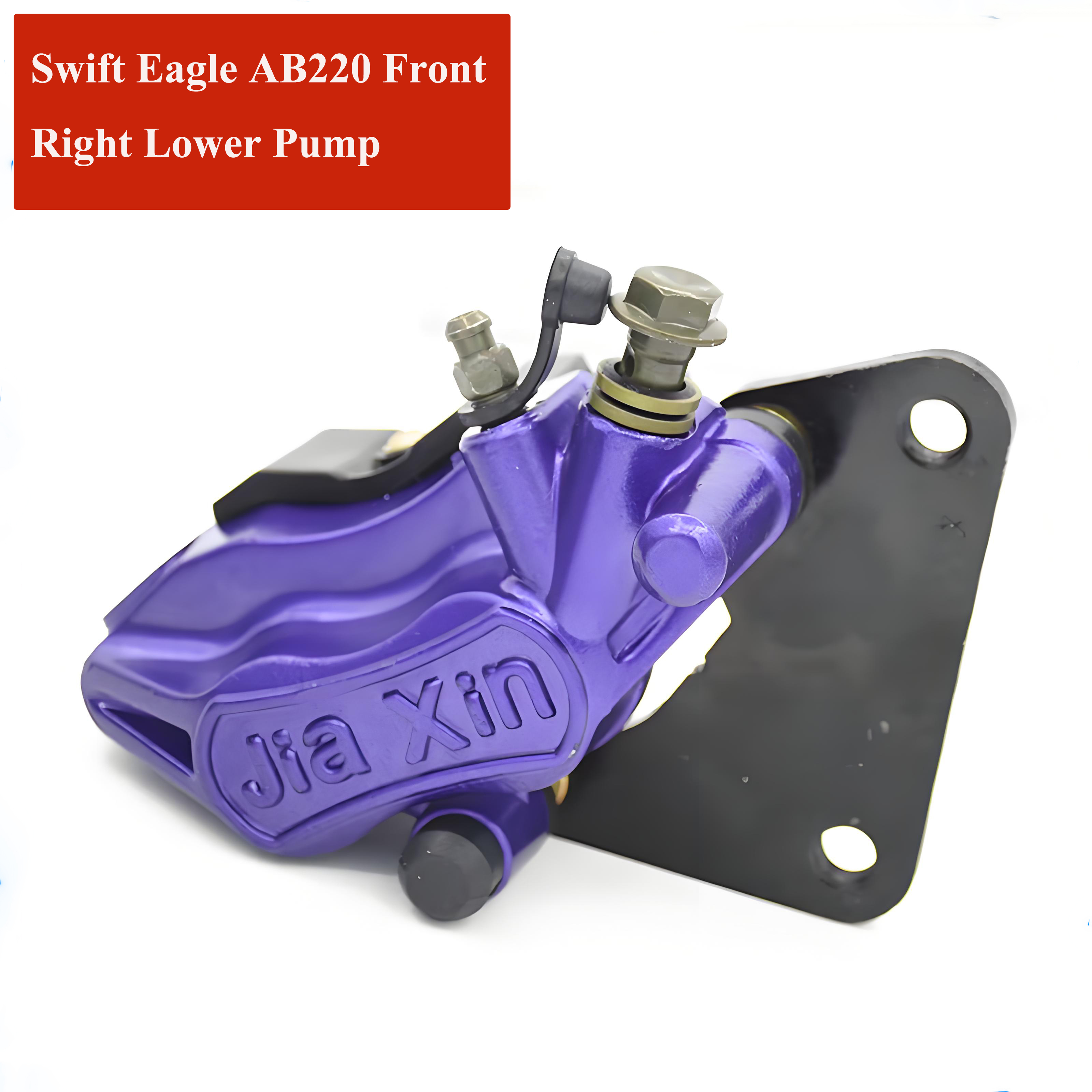 Electric scooter and electric motorcycle brake pump