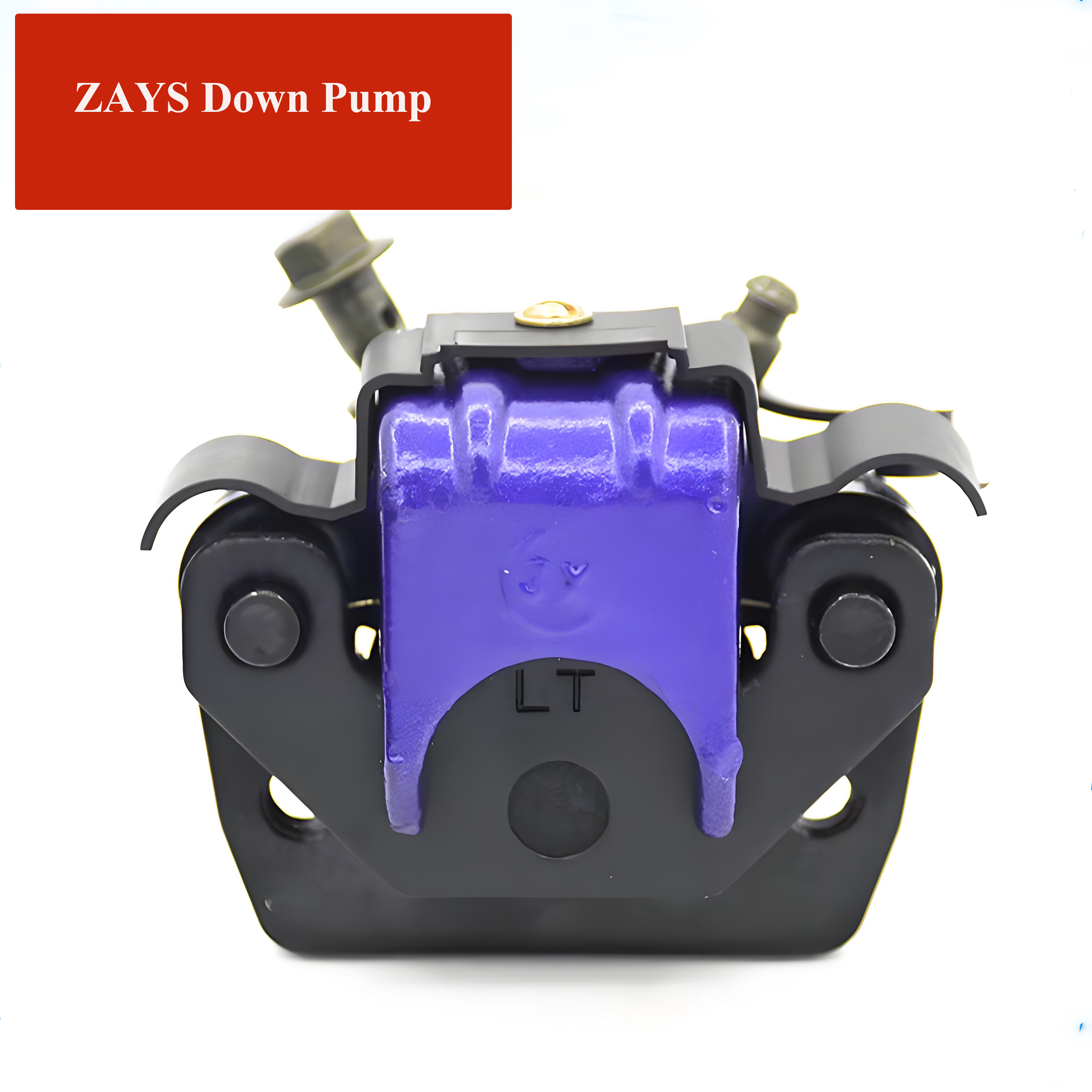 Electric scooter and electric motorcycle brake pump