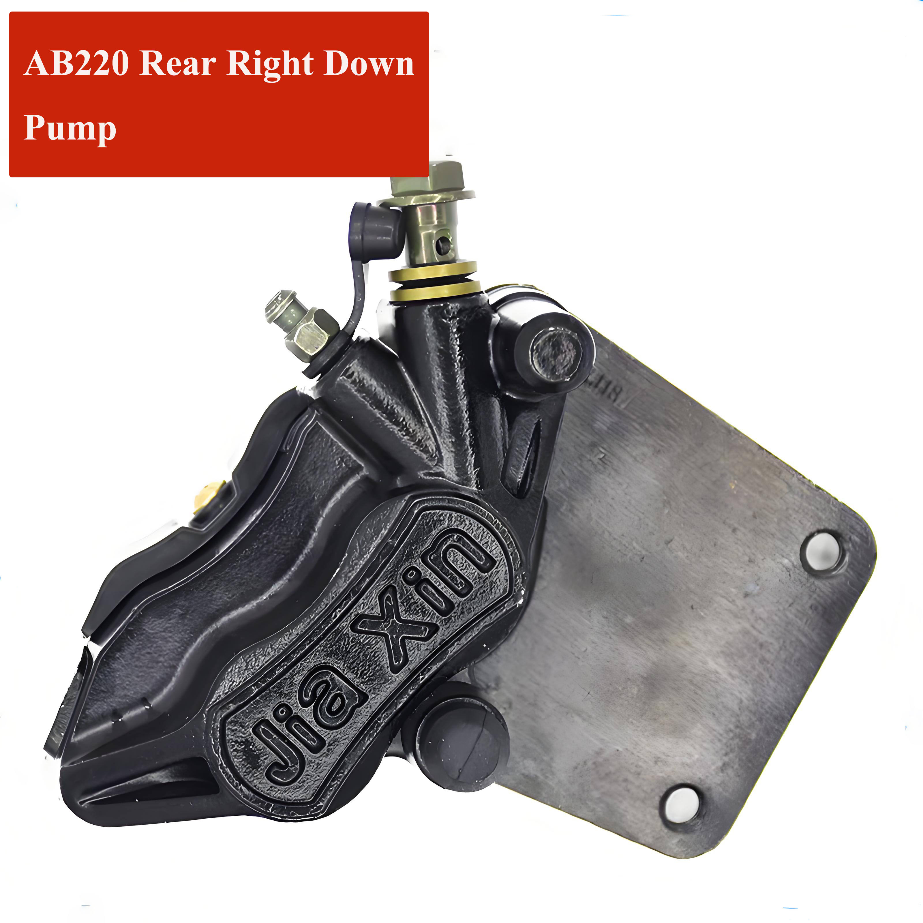 Electric scooter and electric motorcycle brake pump