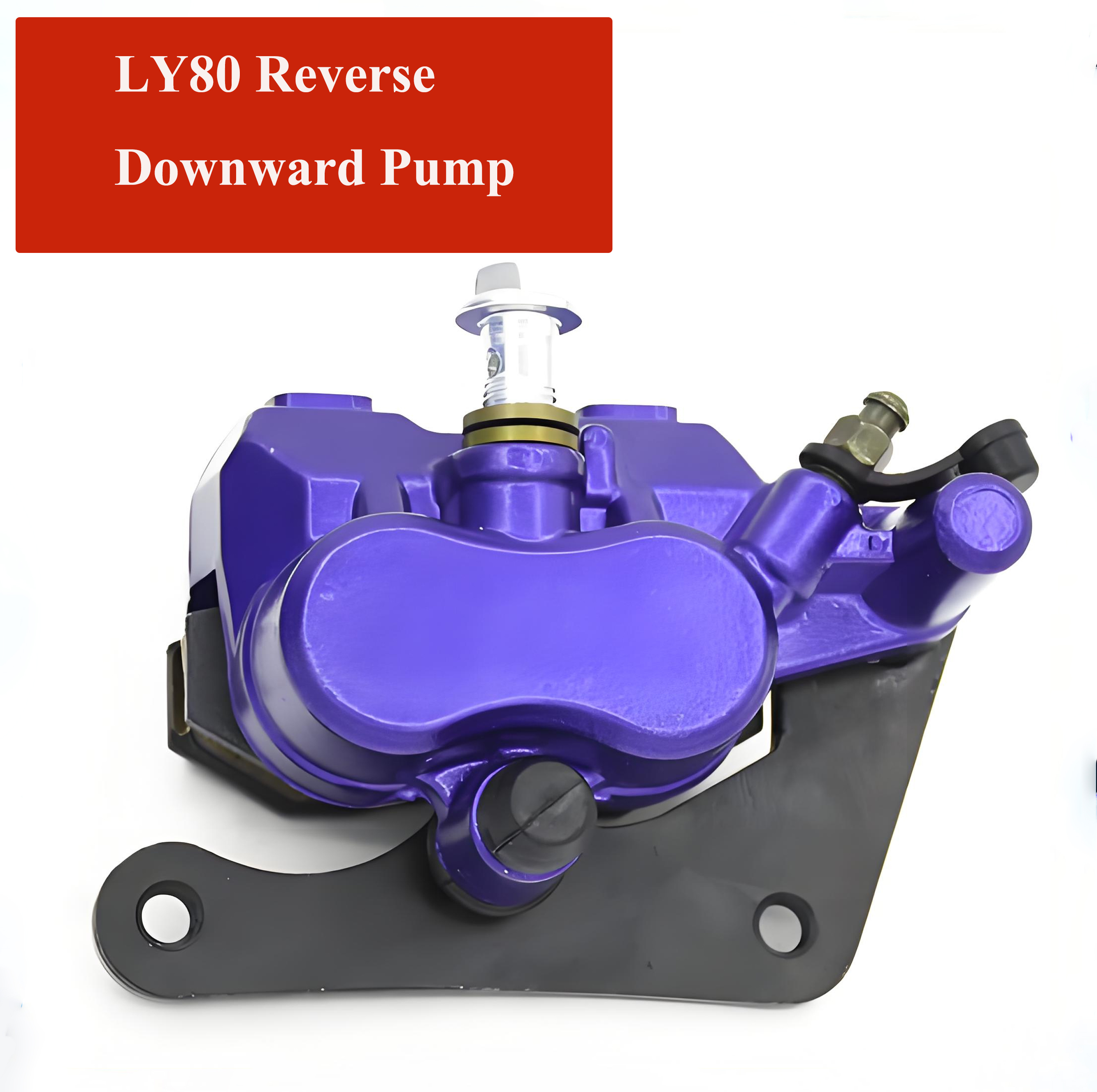 Electric Scooter And Electric Motorcycle Brake Pump