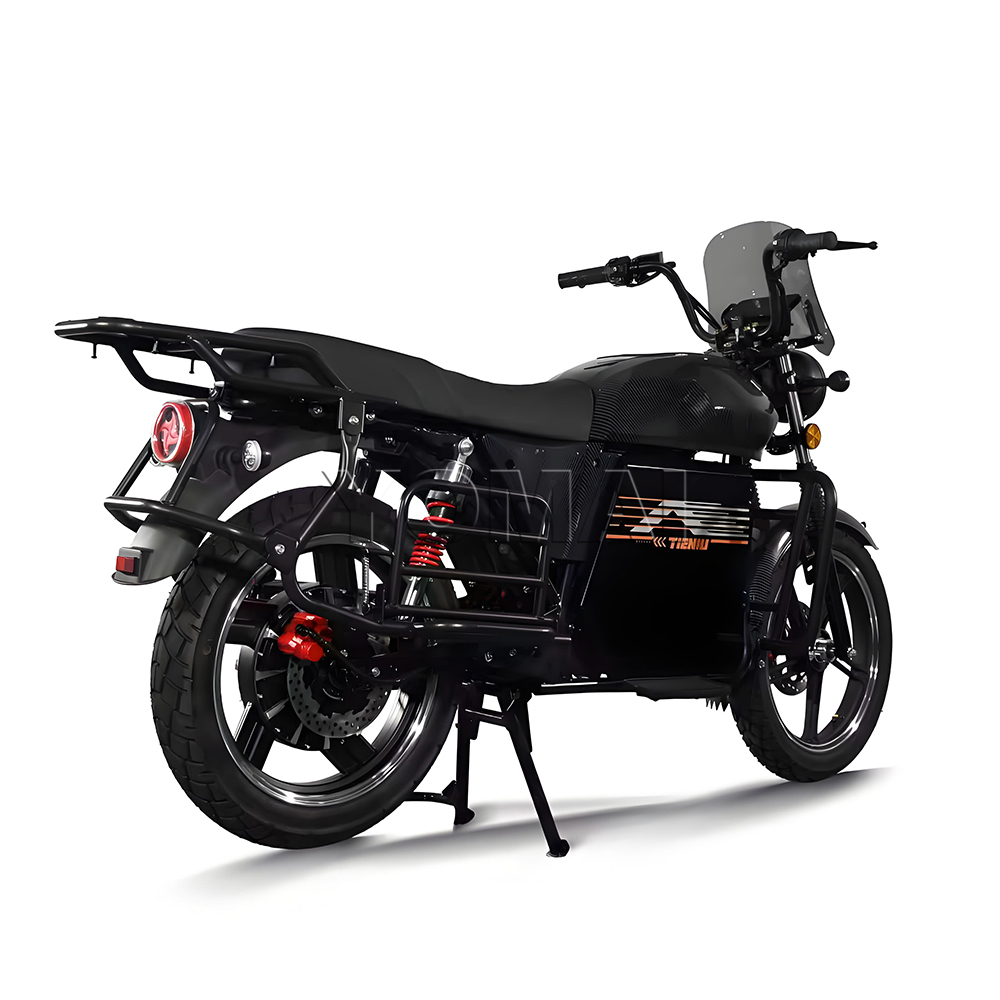 TIENIU Electric Motorcycle