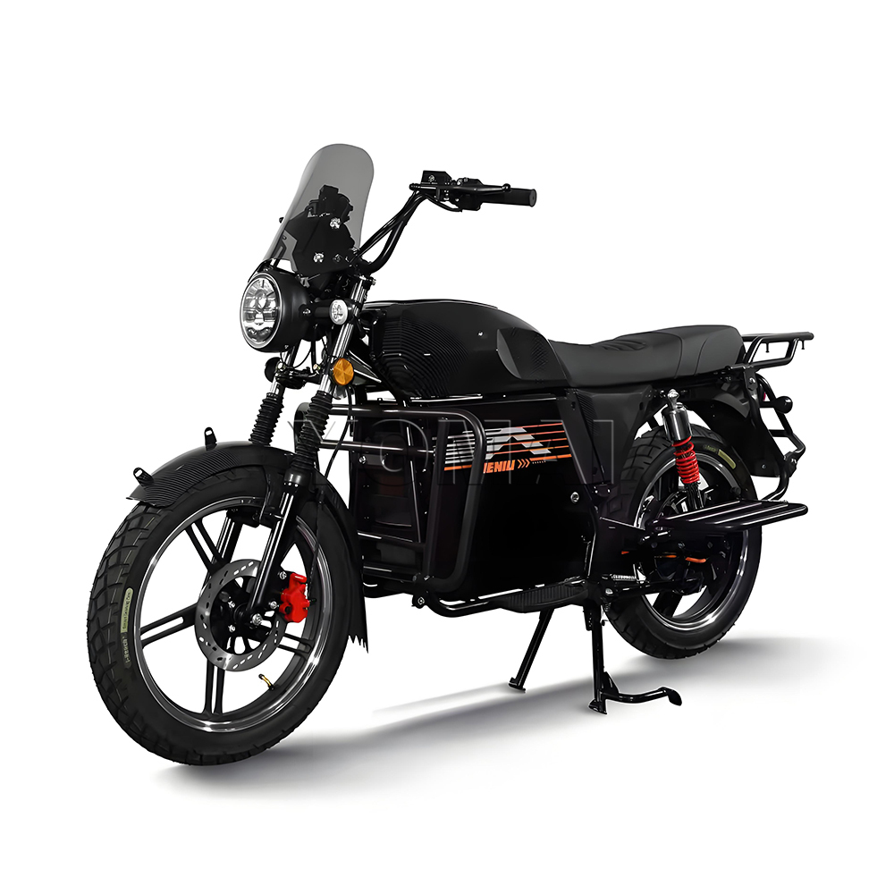 TIENIU Electric Motorcycle