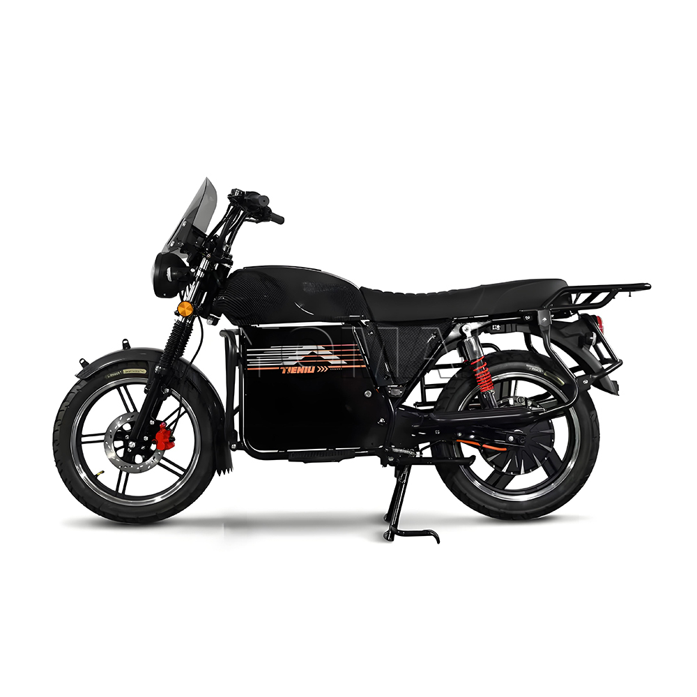 TIENIU Electric Motorcycle