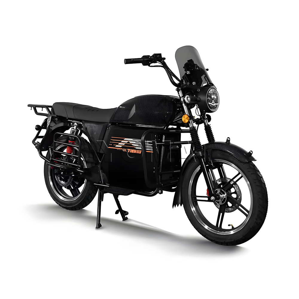 TIENIU Electric Motorcycle