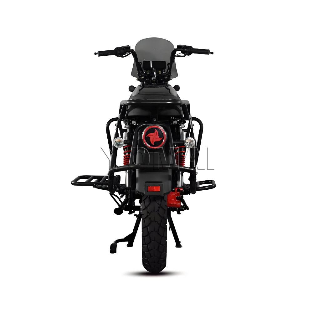 TIENIU Electric Motorcycle