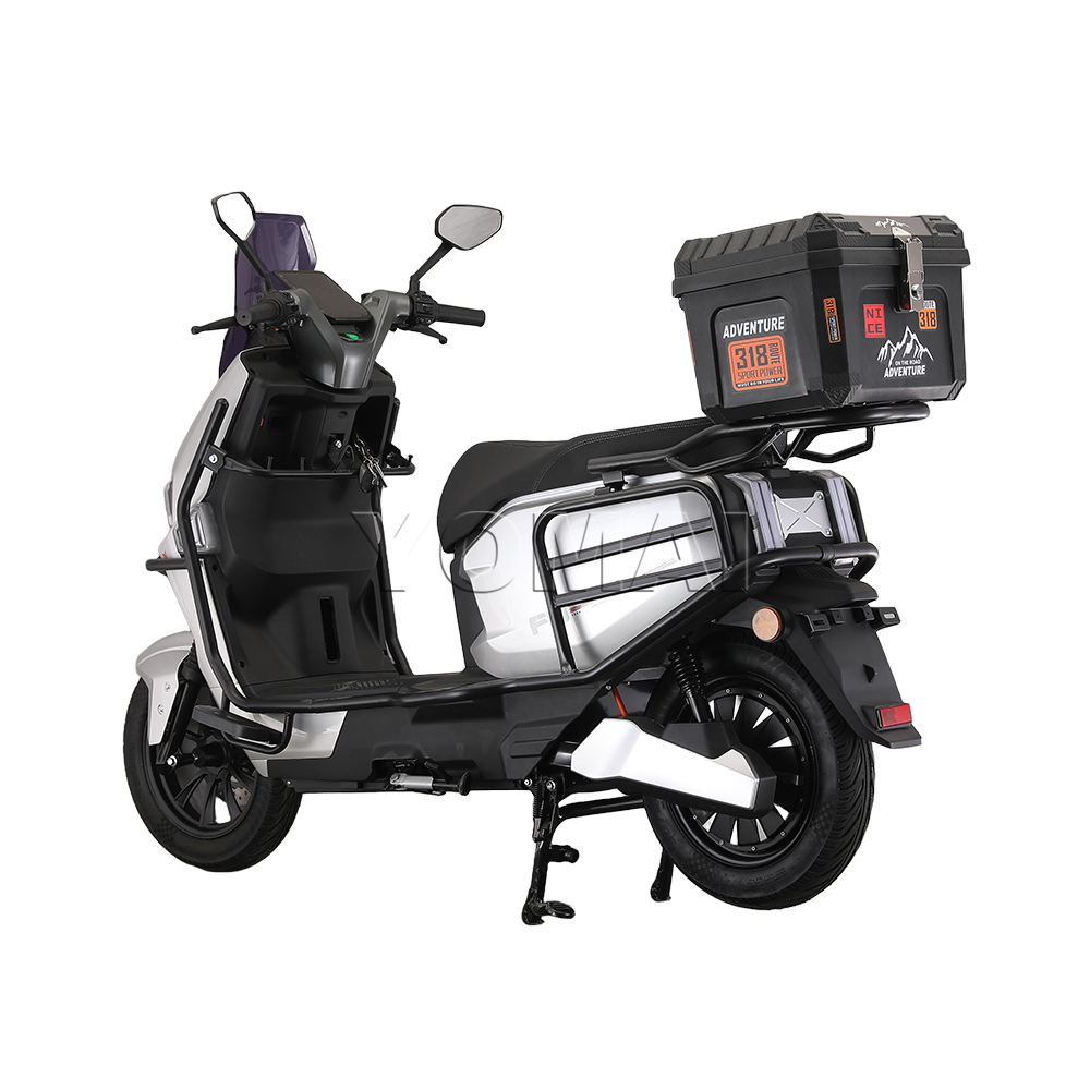 FS Electric Scooter Motorcycle