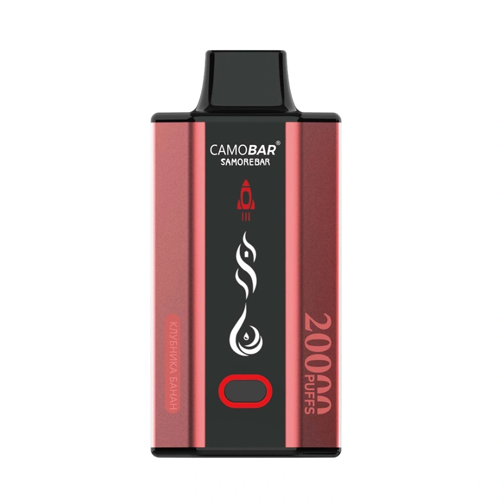 20000 Puffs Disposable Vape - Rechargeable MTL Vape Device with Fruit Vape Juice