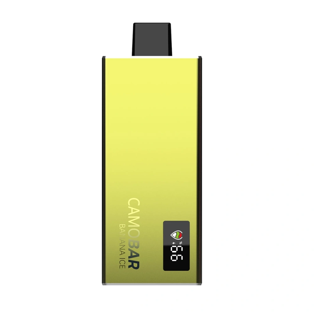 CAMOBAR 10000 | Portable Disposable Vape Device with Fruit Flavors