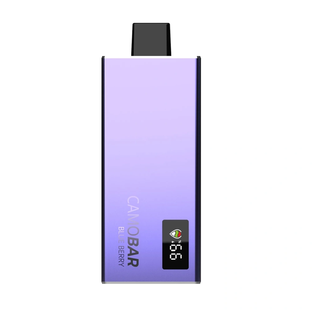 CAMOBAR 10000 | Portable Disposable Vape Device with Fruit Flavors