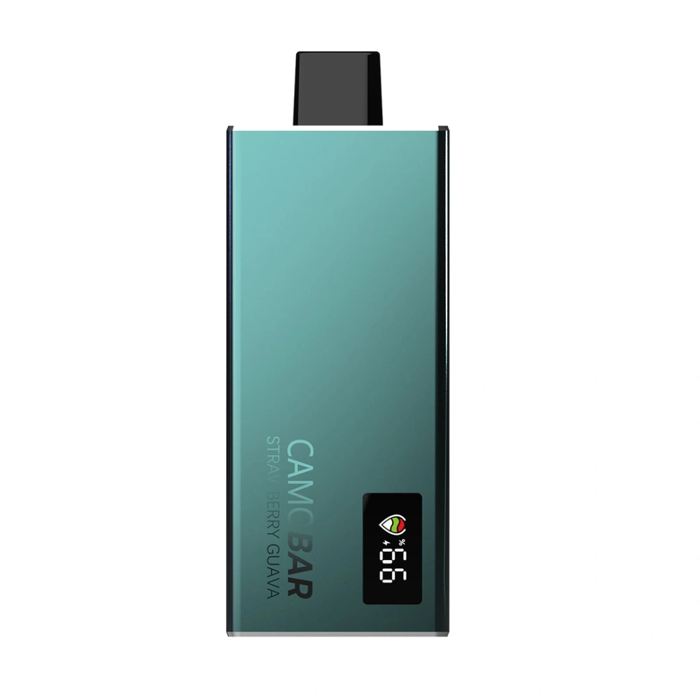 CAMOBAR 10000 | Portable Disposable Vape Device with Fruit Flavors