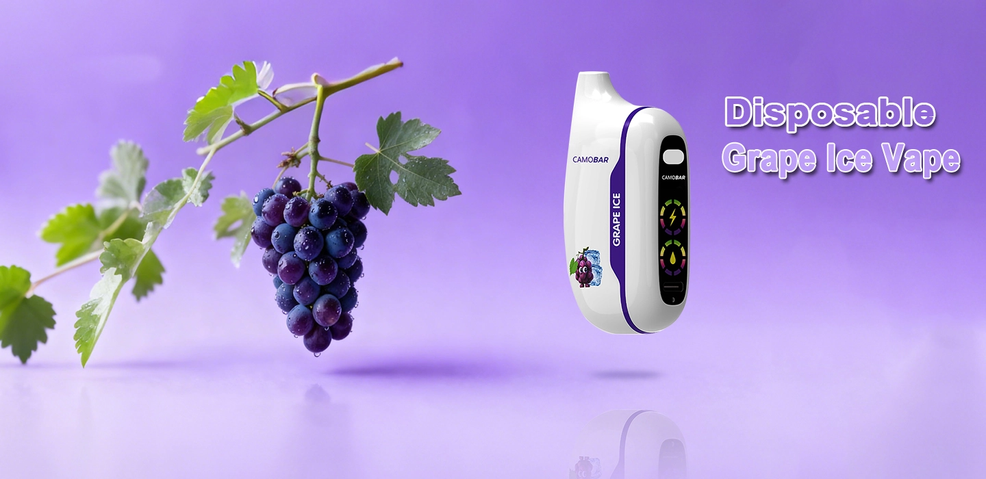 grape ice vape 