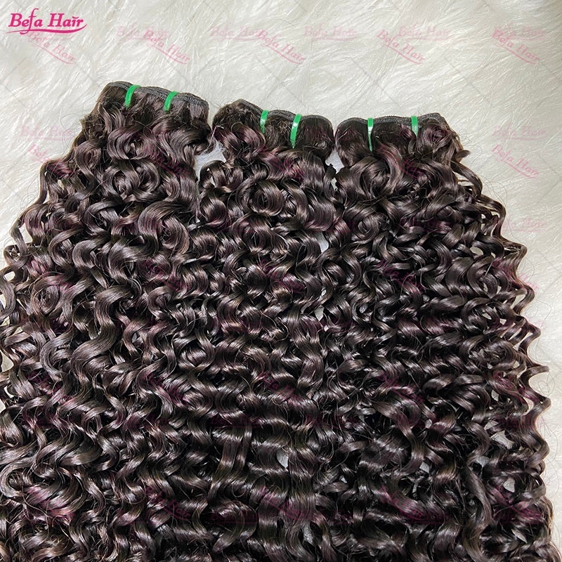 Wholesale Double Drawn 2pcs/3 Bundles/4 Bundles Italy Curly Natural Black Hair,can do dropshipping