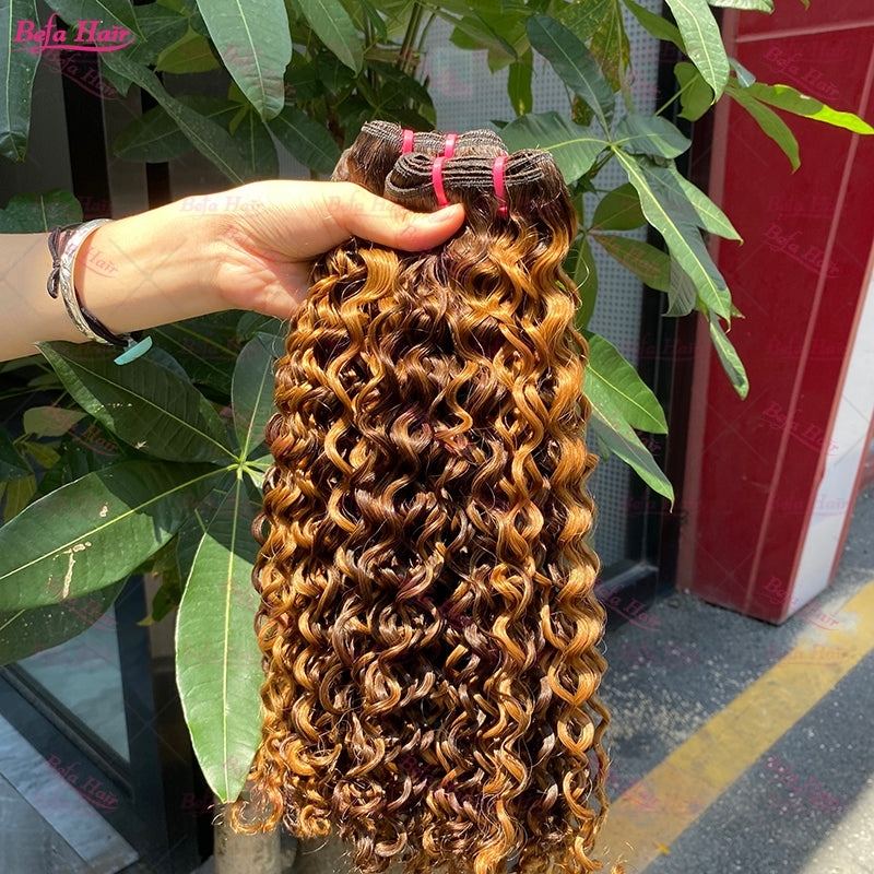 Wholesale Double Drawn 2pcs/3 Bundles/4 Bundles P4-27 Italy Curly Hair,can do dropshipping