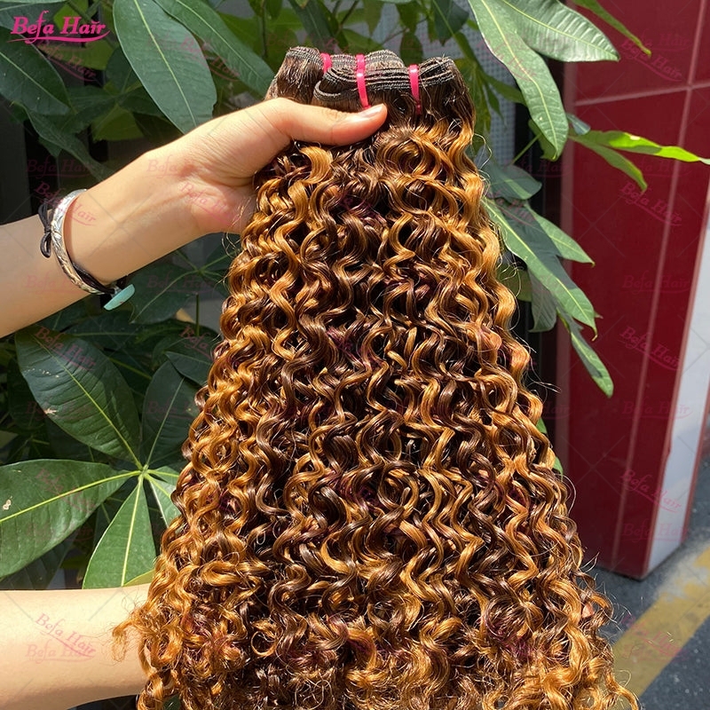 Wholesale Double Drawn 2pcs/3 Bundles/4 Bundles P4-27 Italy Curly Hair,can do dropshipping