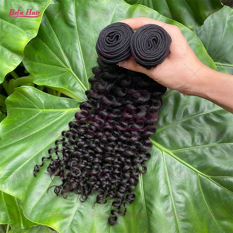 Wholesale Raw Hair Deep Curly 2pcs/3Bundles/4Bundles 12-30 Inches Natural Black human Hair Weave