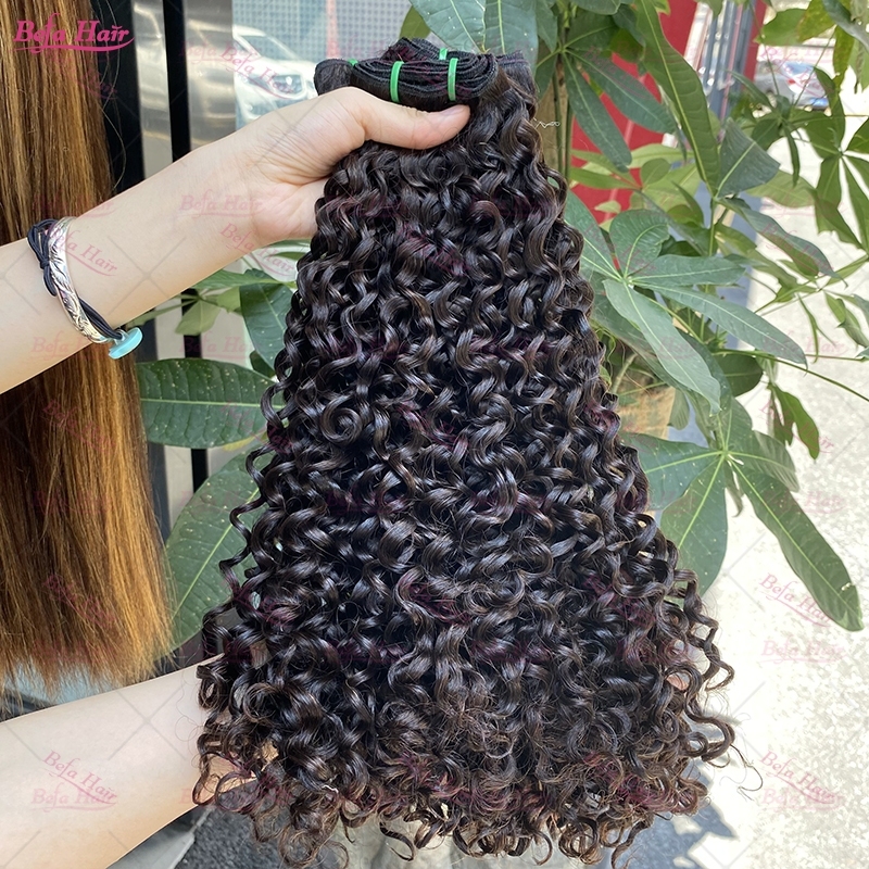 Wholesale Double Drawn 2pcs/3 Bundles/4 Bundles Italy Curly Natural Black Hair,can do dropshipping