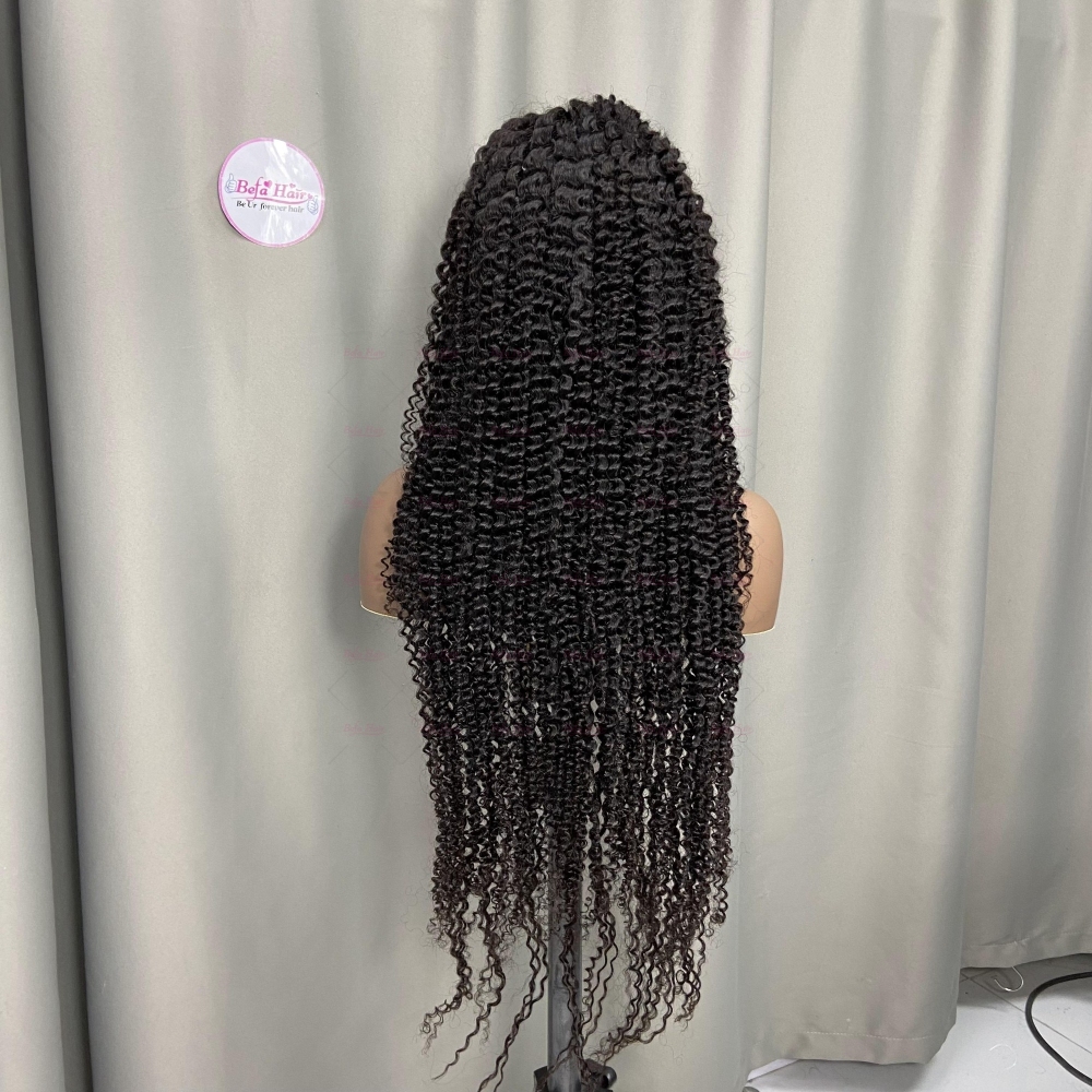 Glueless Wigs Human Hair 5X5 13X4 13X6 Transparent HD Lace Human Hair Wigs Natural Black Kinky Curly Hair Wigs