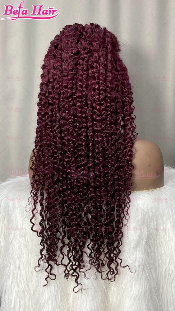 Kinky Curly Wig 4x4/ 5x5/ 13x4/ 13x6 Transparent Lace Burgundy Wigs Human Hair 200% Density Pre Plucked with Baby Hair Lace Wigs