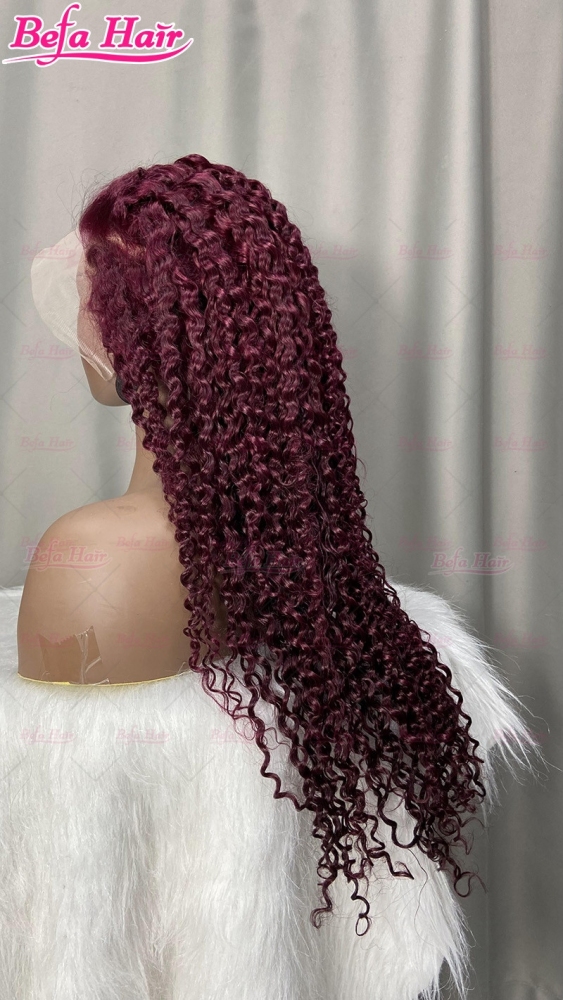 Kinky Curly Wig 4x4/ 5x5/ 13x4/ 13x6 Transparent Lace Burgundy Wigs Human Hair 200% Density Pre Plucked with Baby Hair Lace Wigs