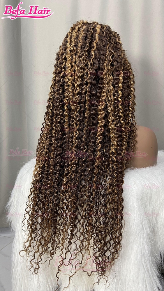 P4/27 Kinky Curly Wig Highlighted Human Hair Wigs 4x4/ 5x5/ 13x4/ 13x6 HD Transparent Lace Kinky Curly Hair Colored Wigs