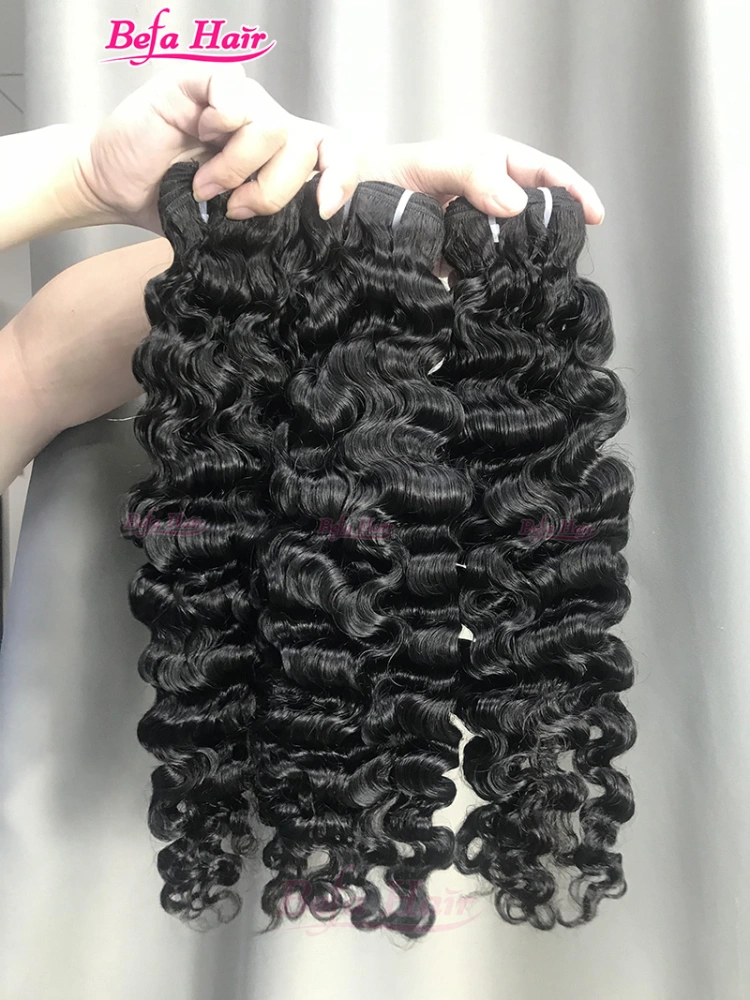 Burmese Curly Wefts 12-30