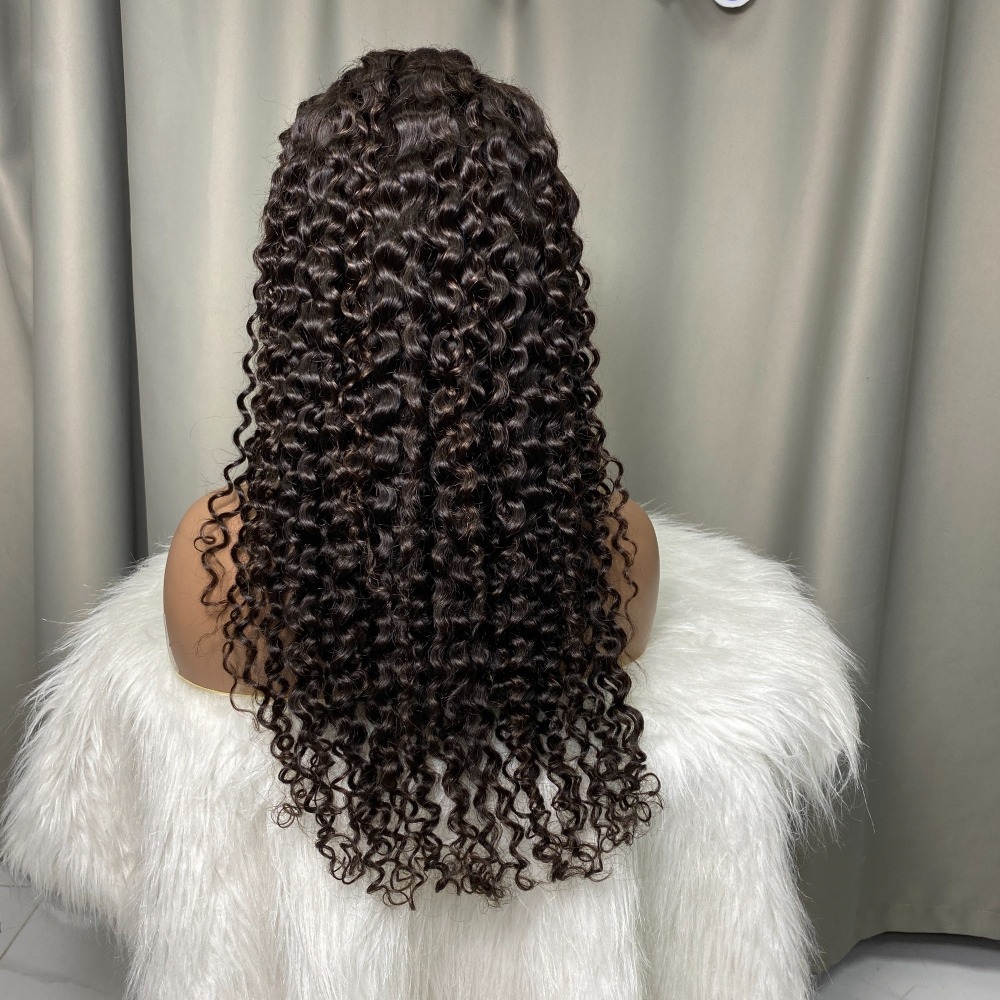 Befa Hair Glueless Wigs Human Hair 5X5 13X4 13X6 Transparent Lace HD Lace Human Hair Wigs Natural Black Deep Curly Hair Wigs
