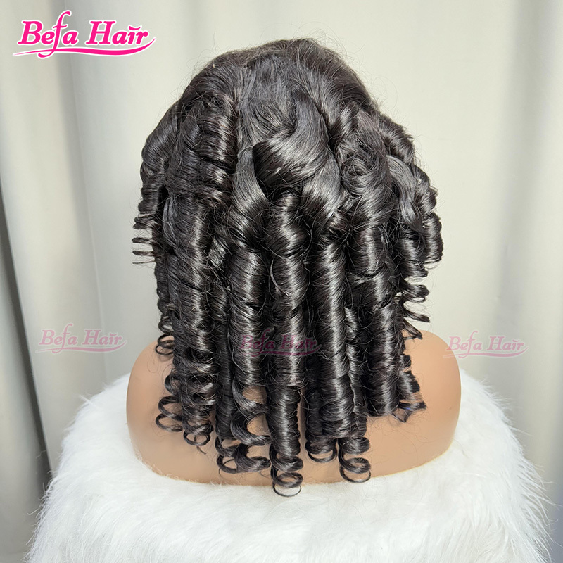 Befa Hair Glueless Wigs Human Hair 5X5 13X4 13X6 Transparent Lace HD Lace Human Hair Wigs Natural Black Egg Curly Hair Wigs
