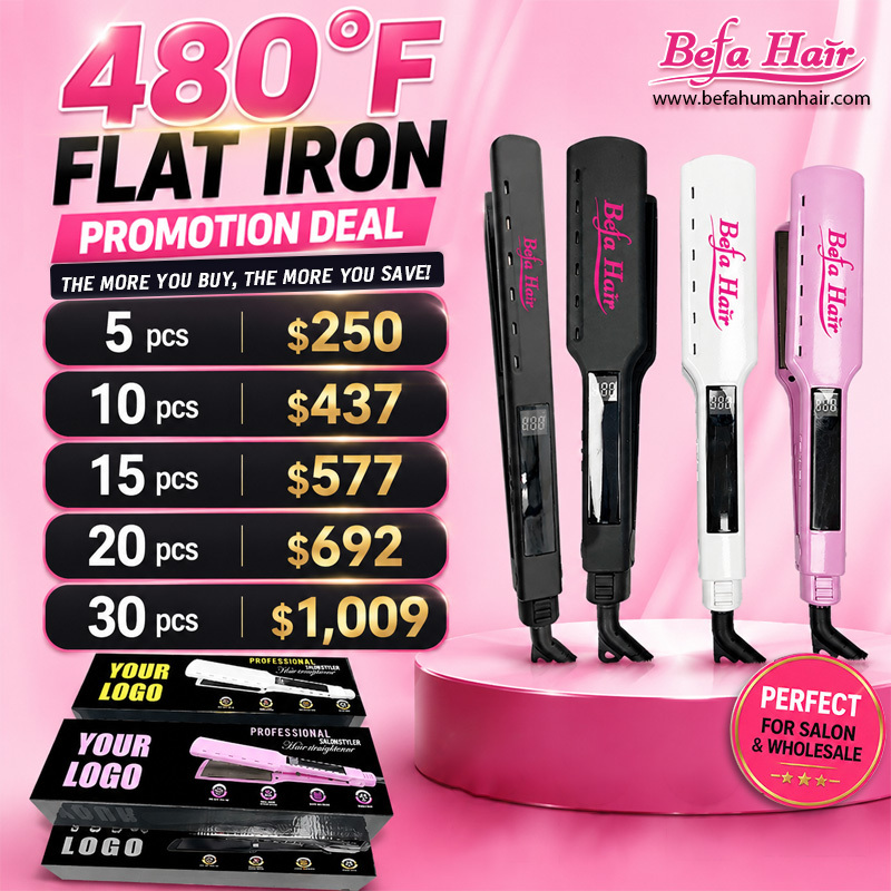 480F Flat lron Promotion Deal Free Logo Free Shipping