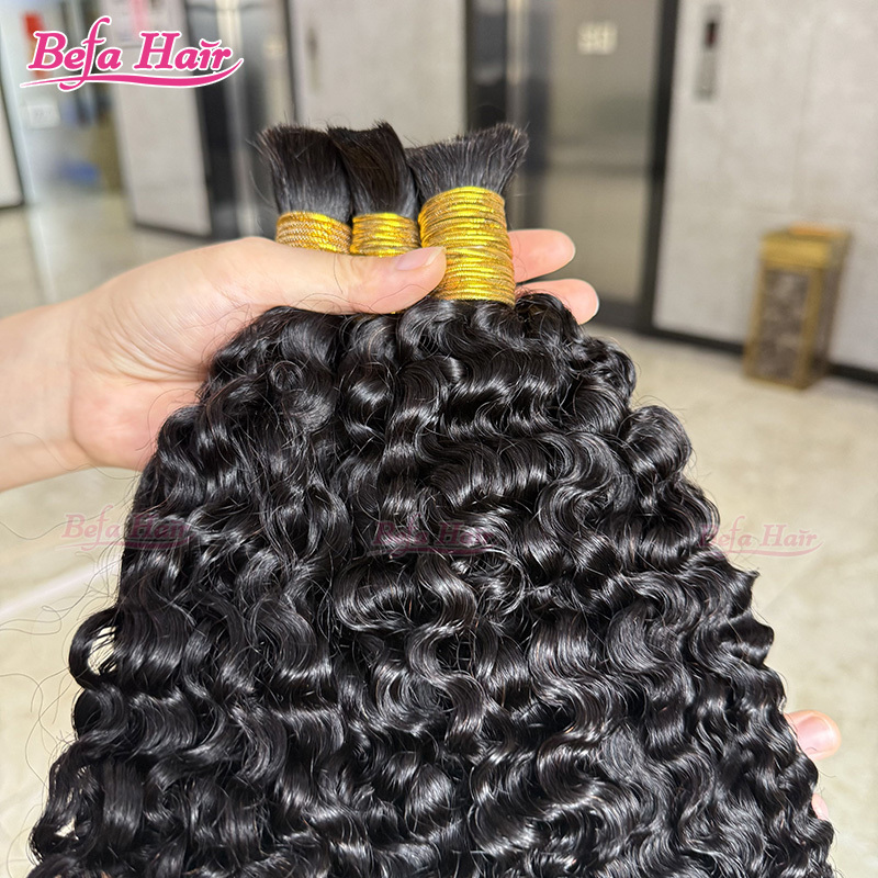 Befa Hair Burmese Curly Human Bulk Hair Boho Braiding Brazilian Bundles Vendors No Weft Braiding Hair in Bulk