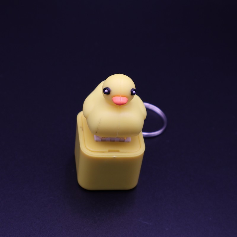 LED Light-Up Sound-Emitting Keychains