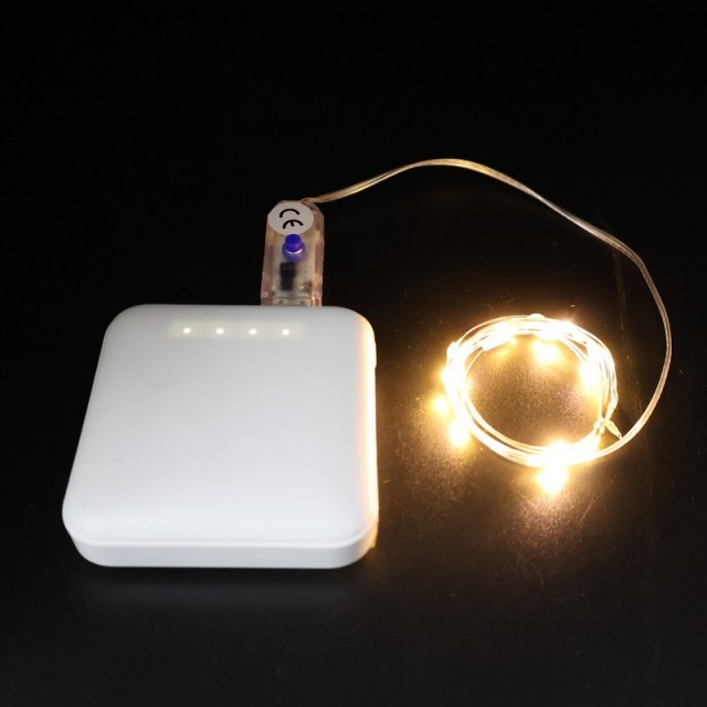 USB Powered Copper Wire String Lights with Remote Control