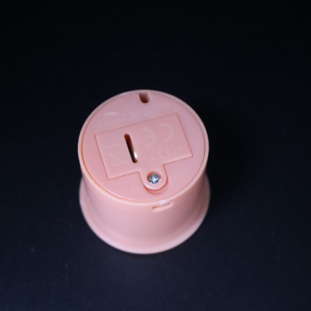 Recordable Sound Module, Push-Button Voice Recorder Module, Sound Box Insert