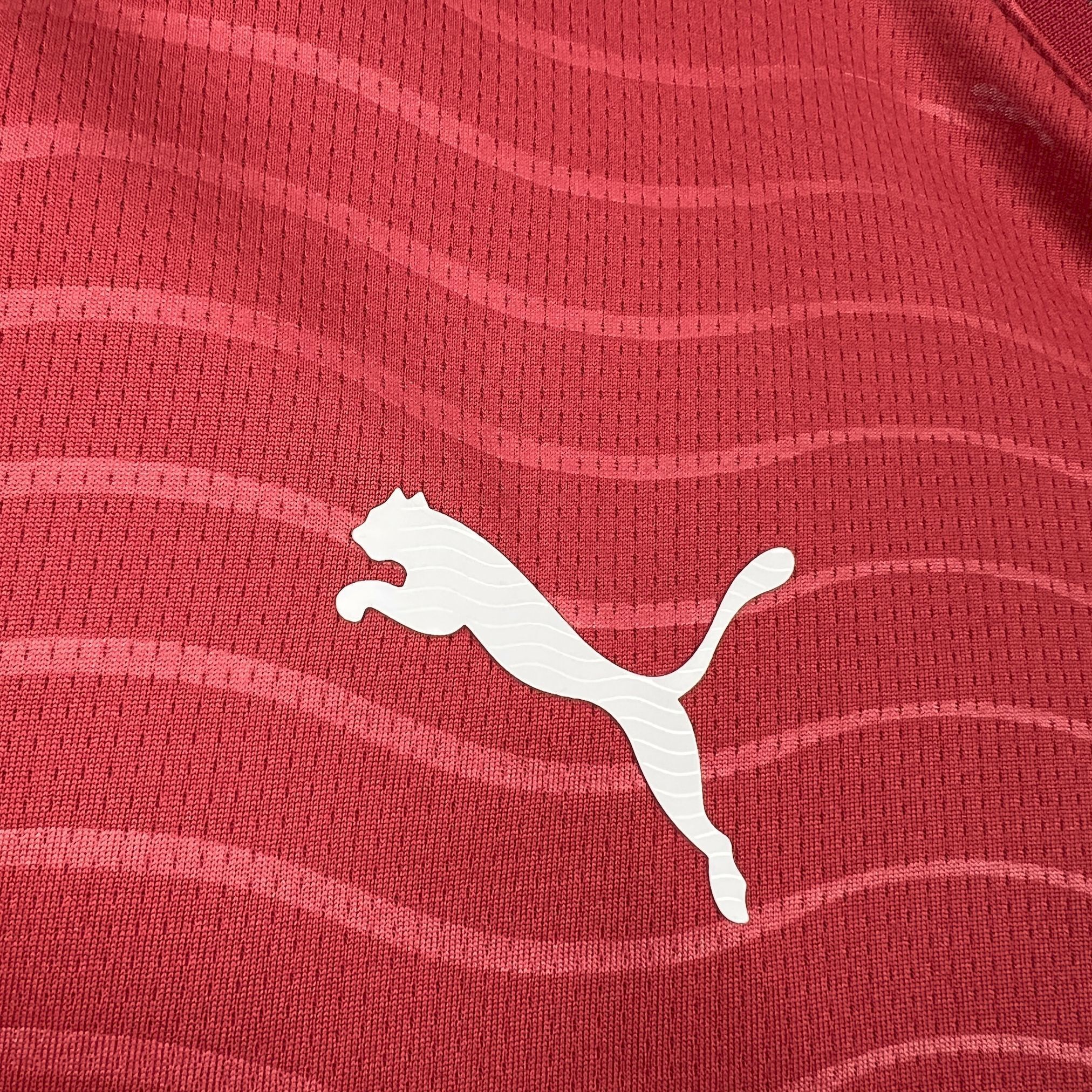 Mens Portugal 2026 World Cup Home Long sleeves Jeresy