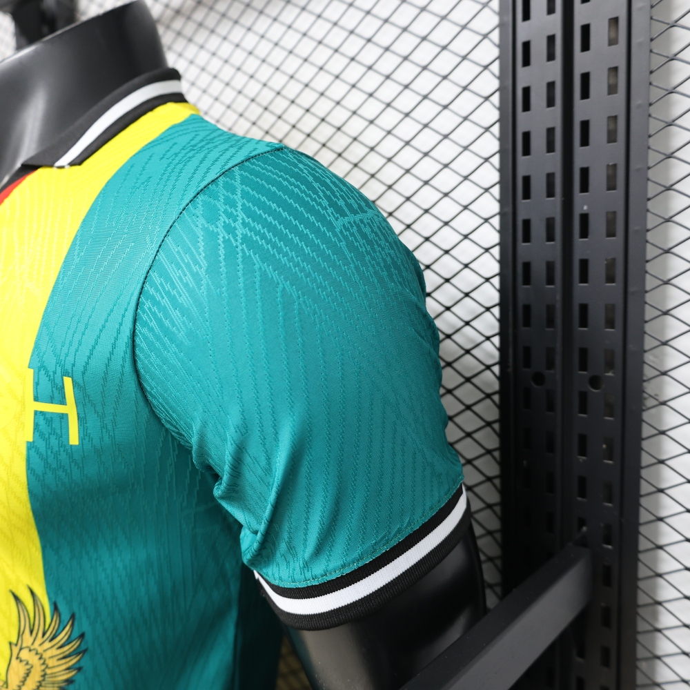 Ghana 26/27 Special Edition Player Version Jersey